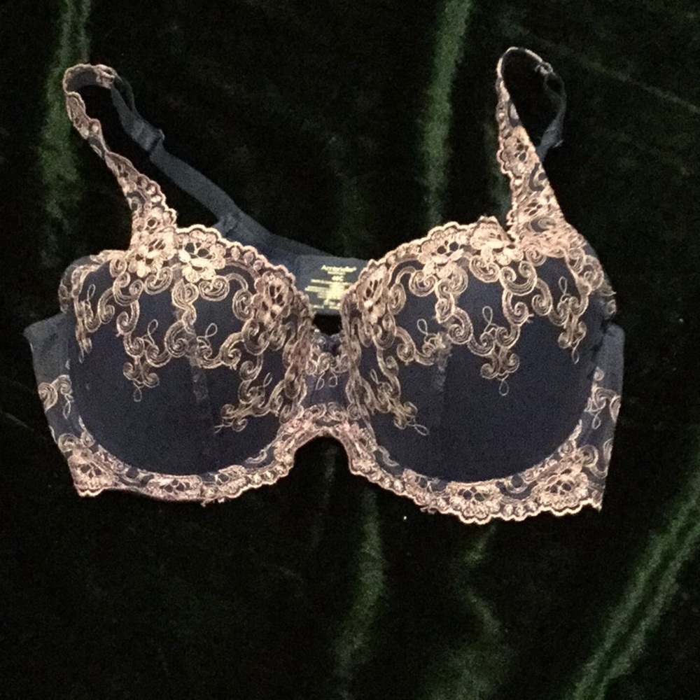 Blue with Pink lace underwire bra